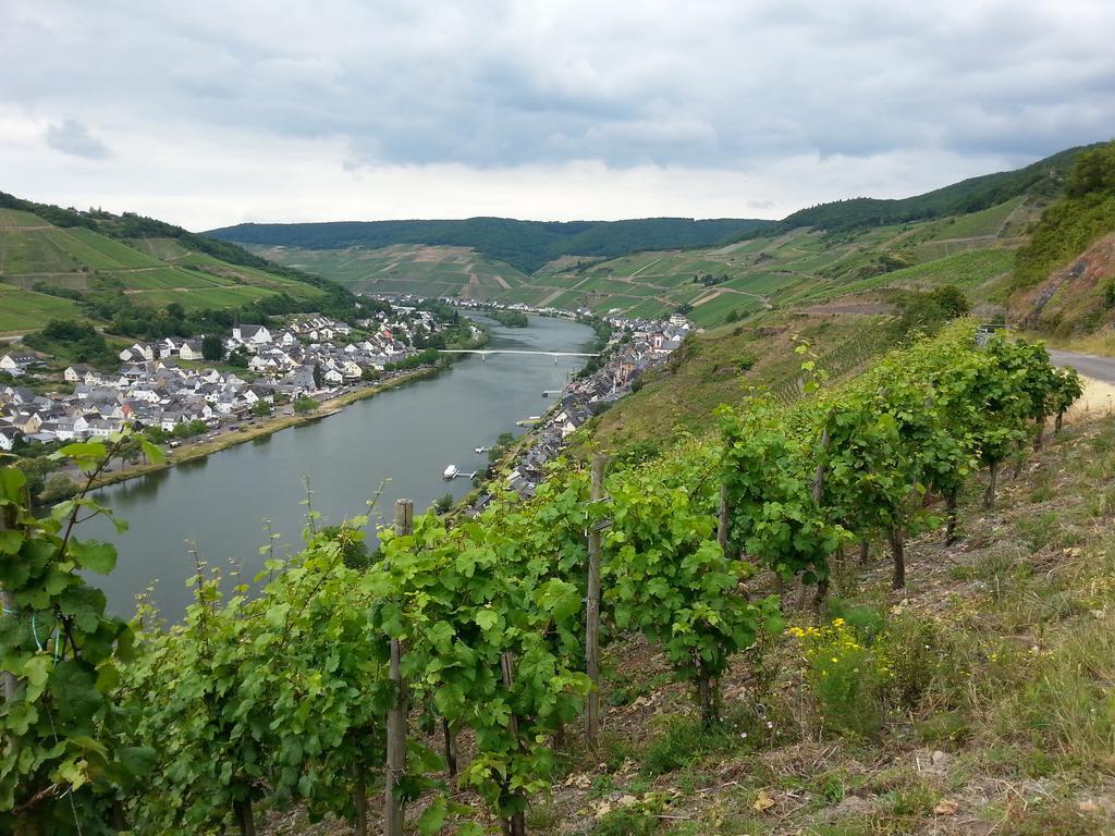 "Ferienhaus An Der Mosel" Zell an der Mosel Exterior foto